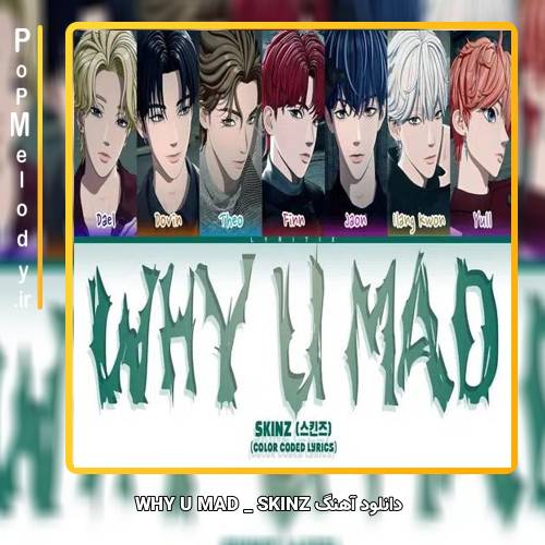 دانلود آهنگ SKINZ WHY U MAD
